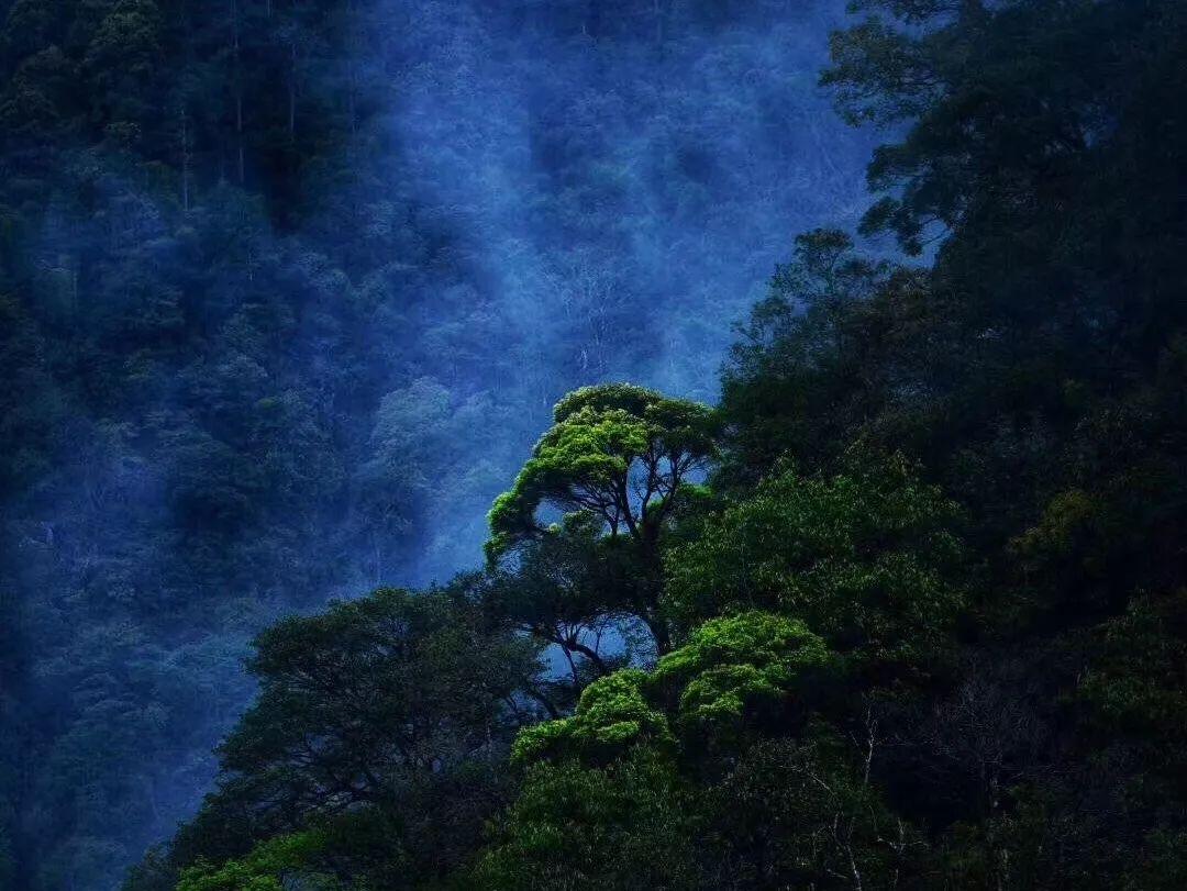 春节假期游常德,一码在手,万事不愁!
